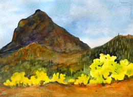 Steffens watercolor painting - Palo Verdes in Spring